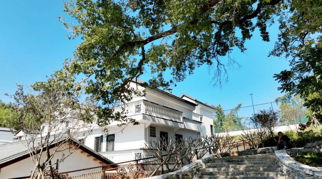 一批典型镇村运营项目集中开业pg试玩打卡地图上新!肇庆(图3) 一批典型镇村运营项目集中开业pg试玩打卡地图上新!肇庆(图3)