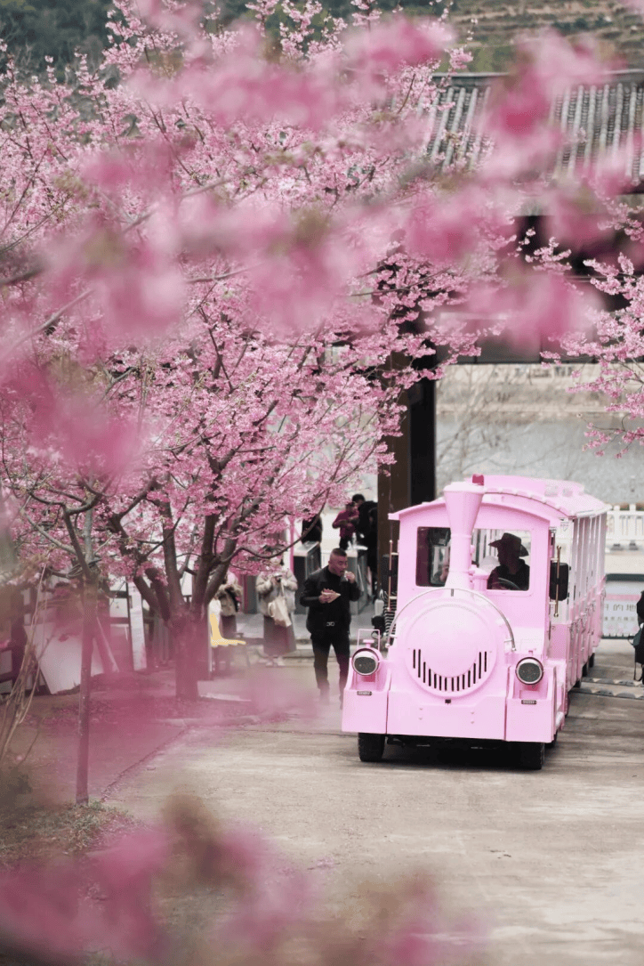 江过大宋年 新春游玩攻略来了！pg电子免费模拟器游戏来楠溪(图20)